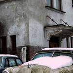 Alejandrin Schroeder Profile Picture