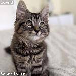 Destinee McClure Profile Picture