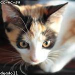 Trevor Eichmann Profile Picture